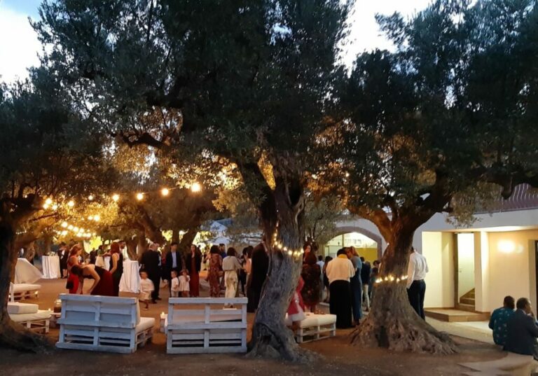 Les Oliveres